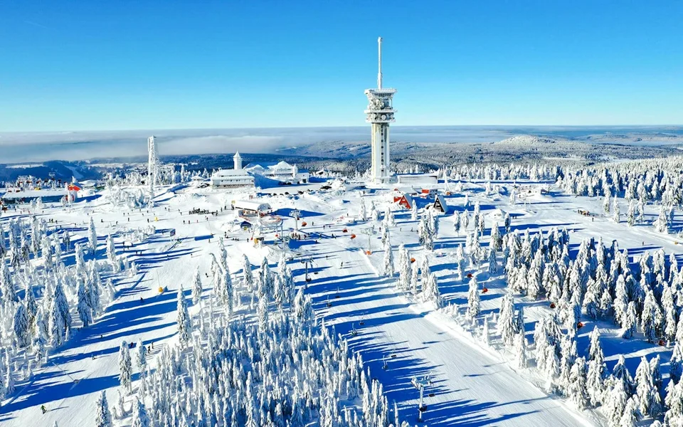 Snow-covered trees and ski-resort structures