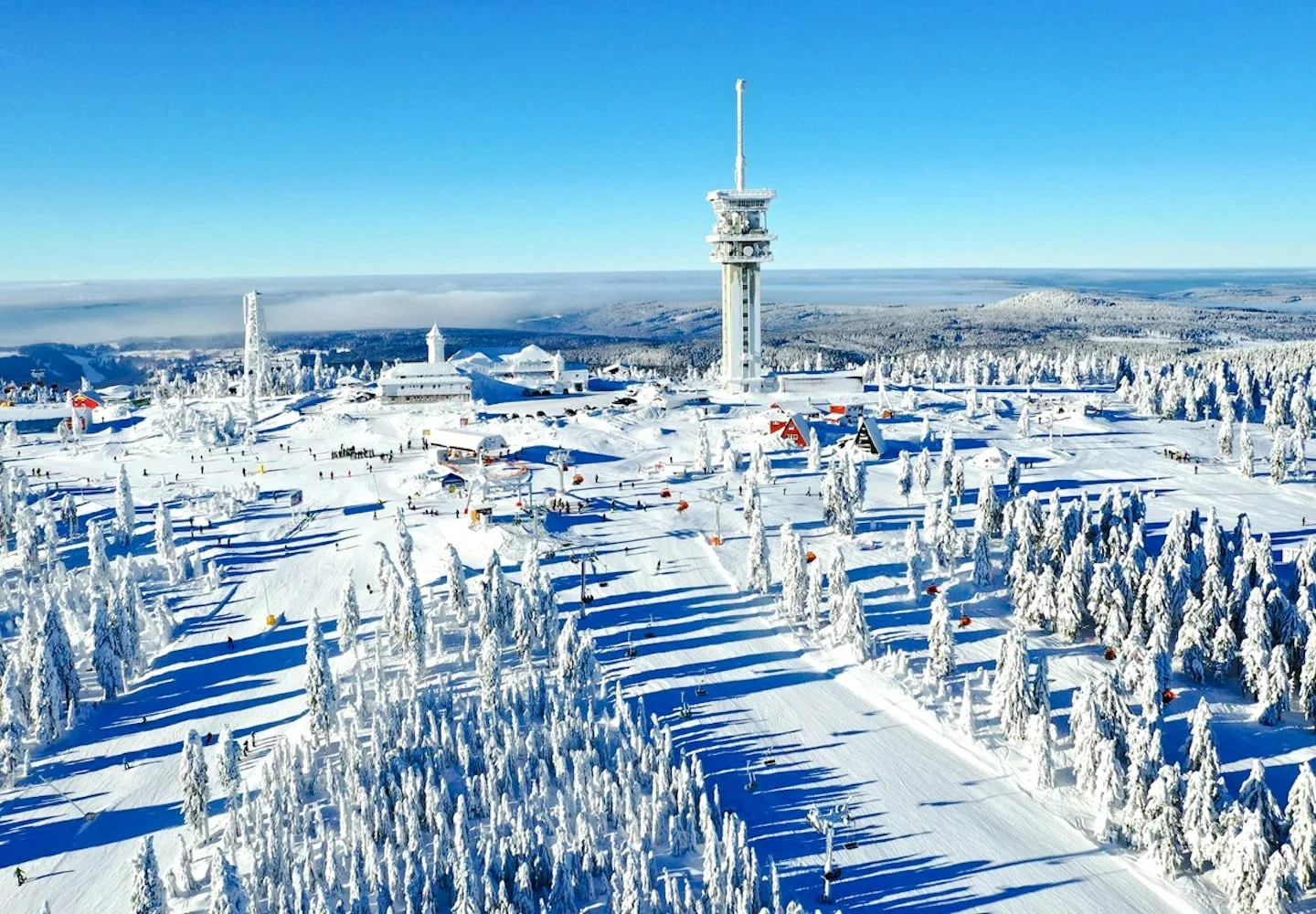 Snow-covered trees and ski-resort structures