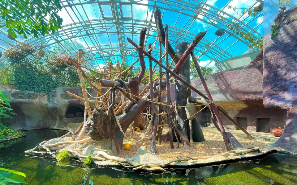 Indoor animal habitat beneath a glass roof at Prague Zoo
